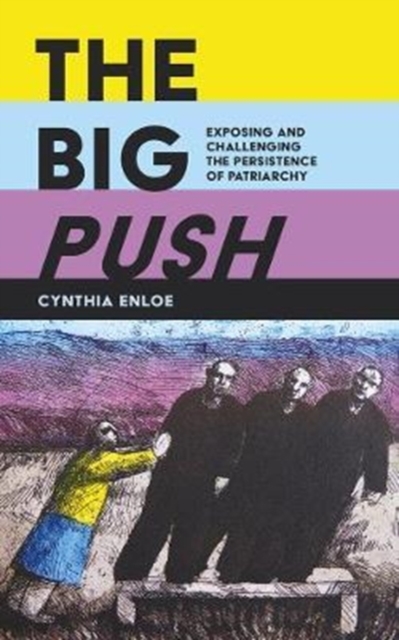 The Big Push : Exposing and Challenging the Persistence of Patriarchy, Paperback Book