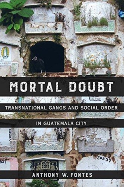 Mortal Doubt : Transnational Gangs and Social Order in Guatemala City, Paperback / softback Book