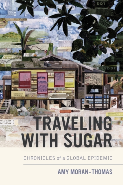 Traveling with Sugar : Chronicles of a Global Epidemic, Paperback / softback Book