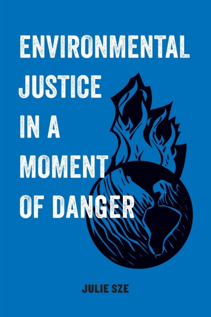 Environmental Justice in a Moment of Danger, Paperback / softback Book