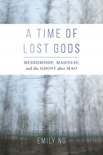 A Time of Lost Gods : Mediumship, Madness, and the Ghost after Mao, Hardback Book