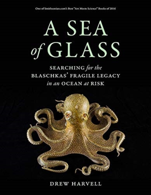A Sea of Glass : Searching for the Blaschkas' Fragile Legacy in an Ocean at Risk, Paperback / softback Book