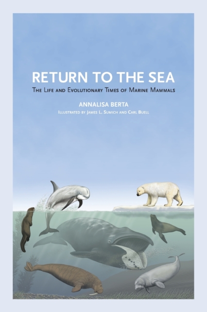 Return to the Sea : The Life and Evolutionary Times of Marine Mammals, Paperback / softback Book