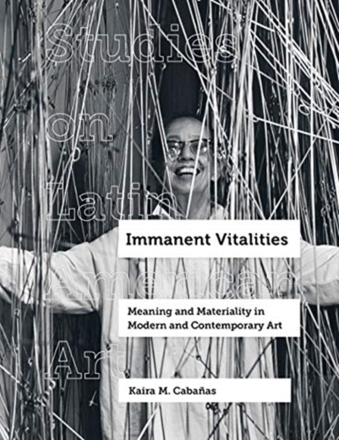 Immanent Vitalities : Meaning and Materiality in Modern and Contemporary Art, Hardback Book