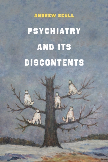 Psychiatry and Its Discontents, Paperback / softback Book