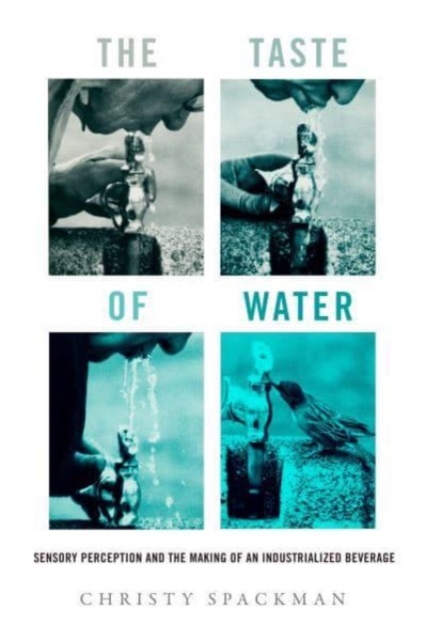 The Taste of Water : Sensory Perception and the Making of an Industrialized Beverage, Paperback / softback Book