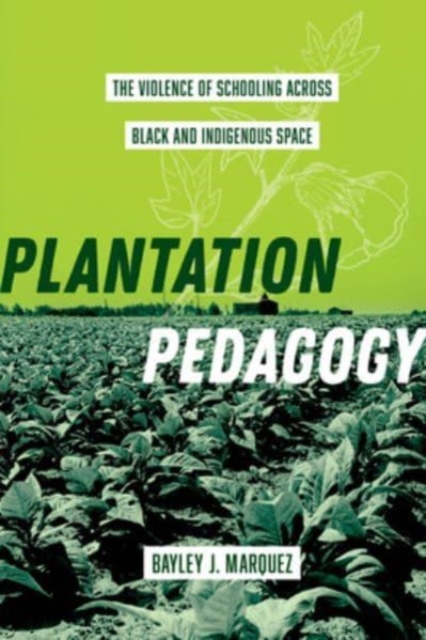 Plantation Pedagogy : The Violence of Schooling across Black and Indigenous Space, Hardback Book