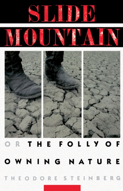 Slide Mountain : Or, The Folly of Owning Nature, PDF eBook