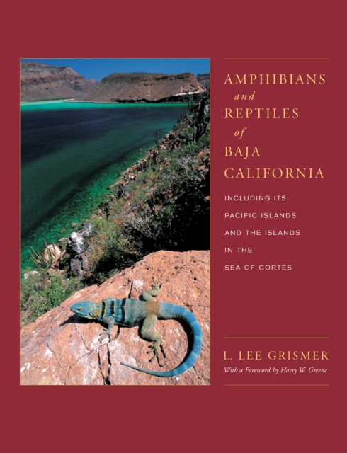 Amphibians and Reptiles of Baja California, Including Its Pacific Islands and the Islands in the Sea of Cortes, PDF eBook