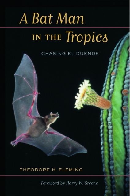A Bat Man in the Tropics : Chasing El Duende, EPUB eBook