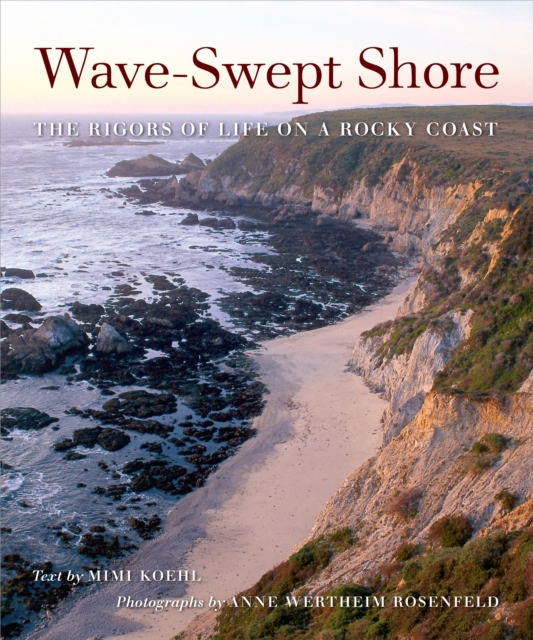 Wave-Swept Shore : The Rigors of Life on a Rocky Coast, PDF eBook