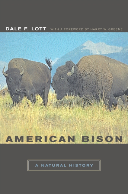 American Bison : A Natural History, PDF eBook