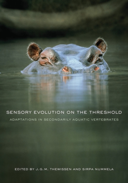 Sensory Evolution on the Threshold : Adaptations in Secondarily Aquatic Vertebrates, PDF eBook
