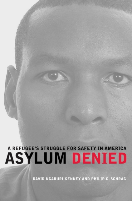 Asylum Denied : A Refugee's Struggle for Safety in America, EPUB eBook