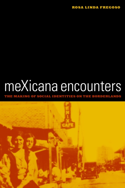 meXicana Encounters : The Making of Social Identities on the Borderlands, PDF eBook
