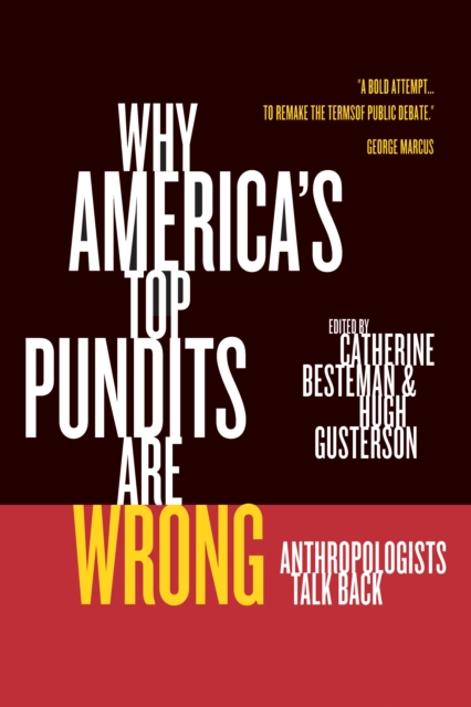 Why America's Top Pundits Are Wrong : Anthropologists Talk Back, PDF eBook