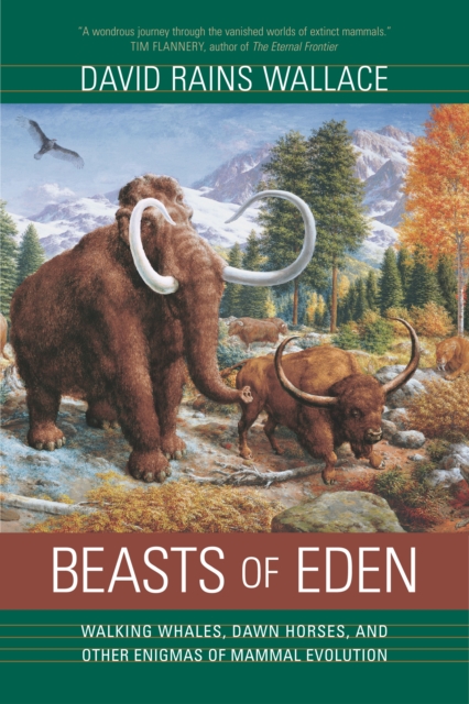 Beasts of Eden : Walking Whales, Dawn Horses, and Other Enigmas of Mammal Evolution, PDF eBook