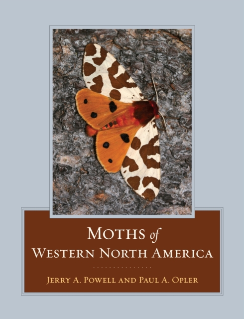 Moths of Western North America, PDF eBook