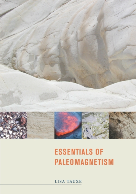 Essentials of Paleomagnetism, PDF eBook