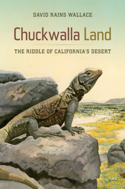 Chuckwalla Land : The Riddle of California's Desert, EPUB eBook