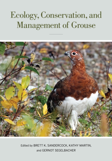 Ecology, Conservation, and Management of Grouse : Published for the Cooper Ornithological Society, EPUB eBook