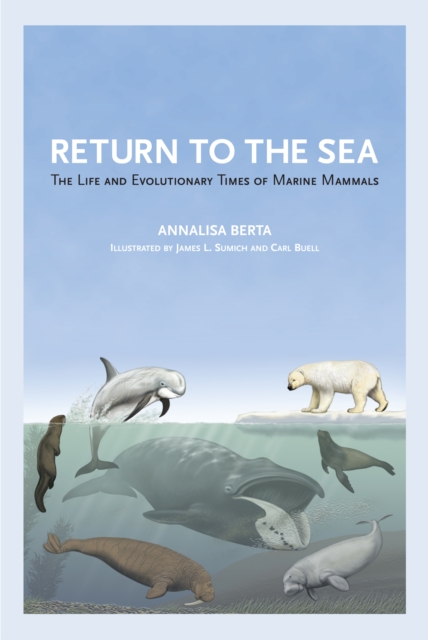 Return to the Sea : The Life and Evolutionary Times of Marine Mammals, EPUB eBook
