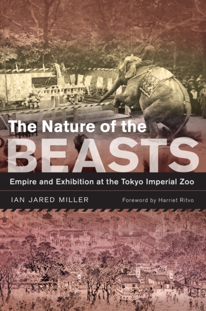 The Nature of the Beasts : Empire and Exhibition at the Tokyo Imperial Zoo, EPUB eBook