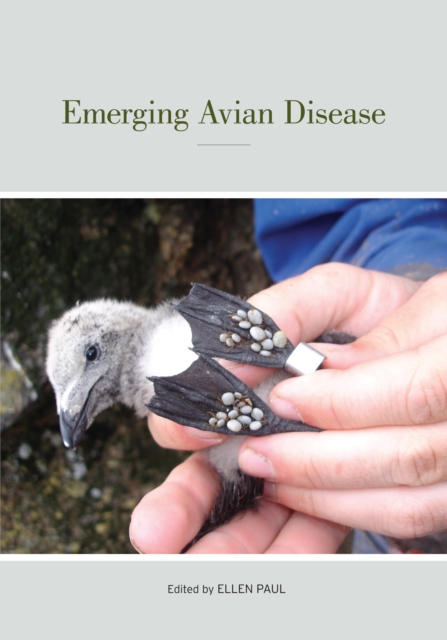Emerging Avian Disease : Published for the Cooper Ornithological Society, EPUB eBook