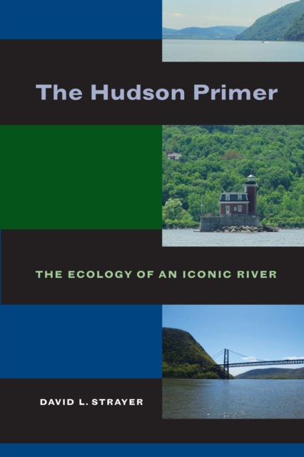 The Hudson Primer : The Ecology of an Iconic River, EPUB eBook