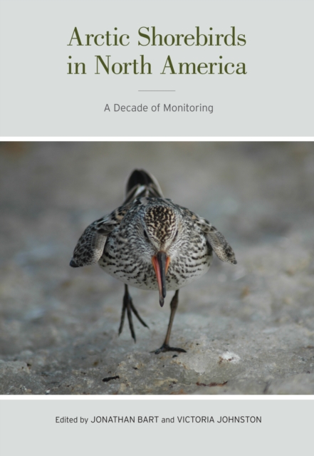 Arctic Shorebirds in North America : A Decade of Monitoring, PDF eBook