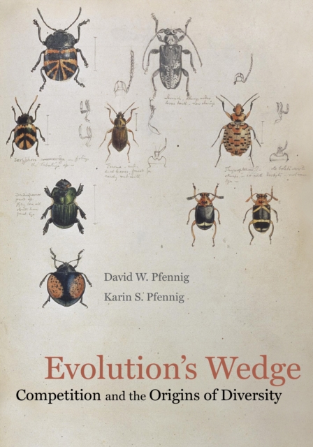 Evolution's Wedge : Competition and the Origins of Diversity, EPUB eBook