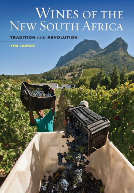 Wines of the New South Africa : Tradition and Revolution, EPUB eBook
