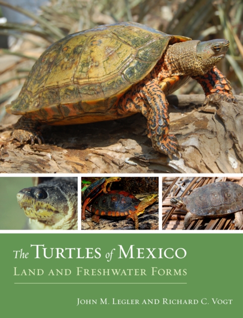The Turtles of Mexico : Land and Freshwater Forms, EPUB eBook
