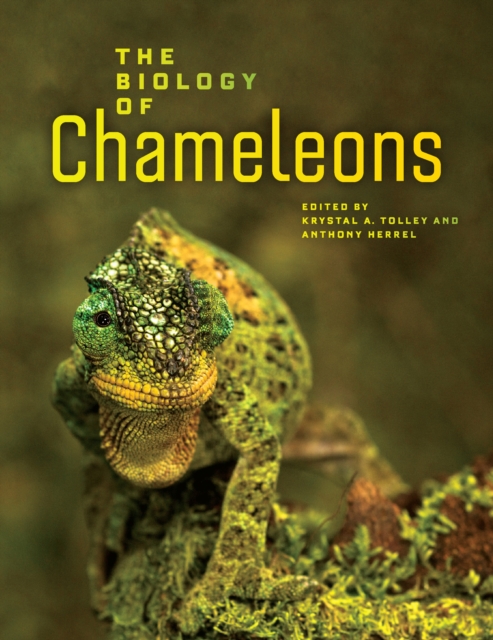 The Biology of Chameleons, EPUB eBook