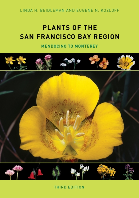 Plants of the San Francisco Bay Region : Mendocino to Monterey, PDF eBook