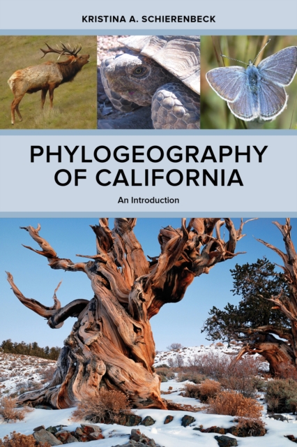 Phylogeography of California : An Introduction, EPUB eBook