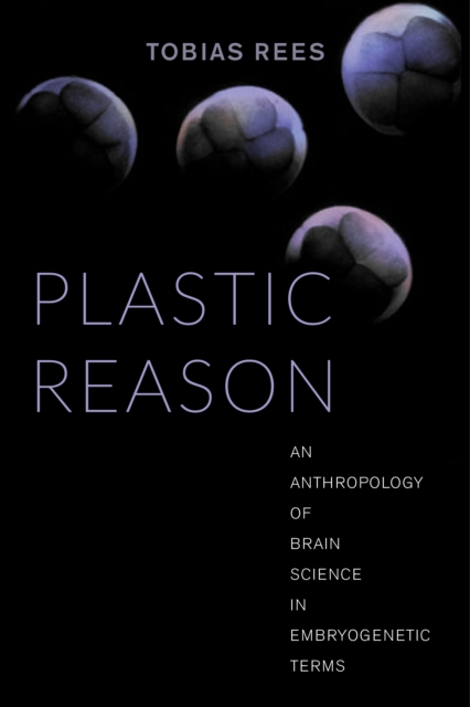 Plastic Reason : An Anthropology of Brain Science in Embryogenetic Terms, EPUB eBook