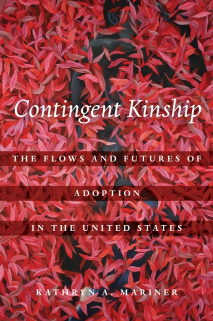 Contingent Kinship : The Flows and Futures of Adoption in the United States, EPUB eBook