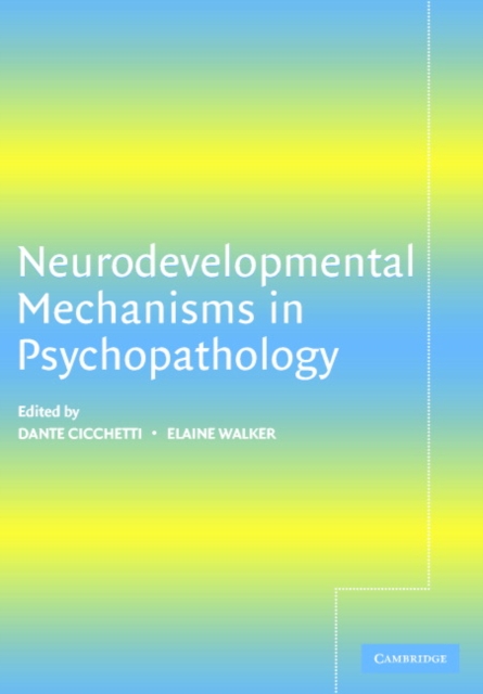 Neurodevelopmental Mechanisms in Psychopathology, Paperback / softback Book
