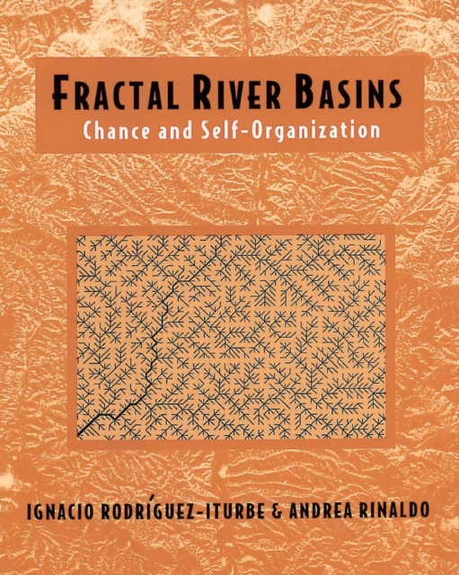 Fractal River Basins : Chance and Self-Organization, Paperback / softback Book