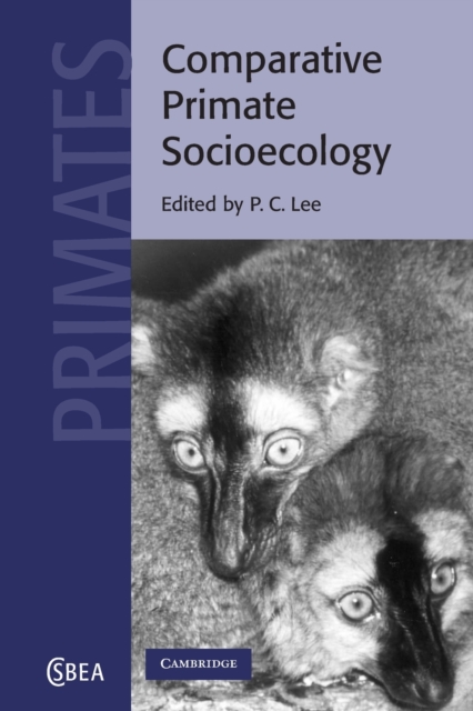 Comparative Primate Socioecology, Paperback / softback Book