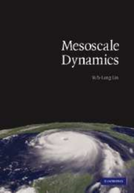 Mesoscale Dynamics, Paperback / softback Book