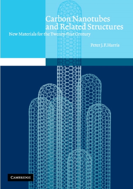 Carbon Nanotubes and Related Structures : New Materials for the Twenty-first Century, Paperback / softback Book