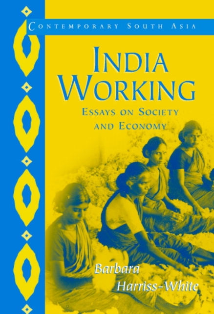 India Working : Essays on Society and Economy, Paperback / softback Book