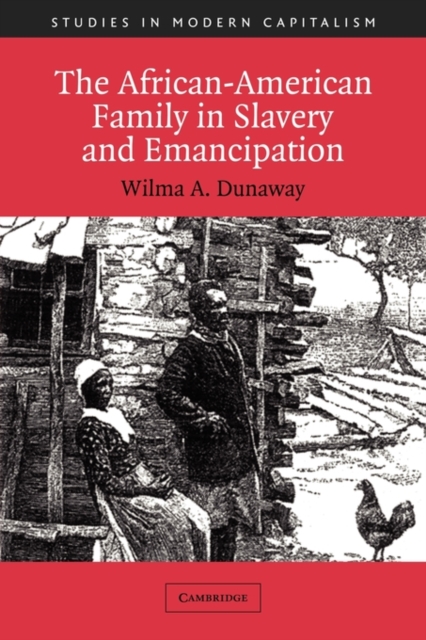 The African-American Family in Slavery and Emancipation, Paperback / softback Book