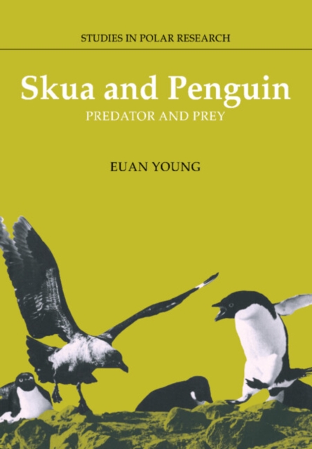 Skua and Penguin : Predator and Prey, Paperback / softback Book