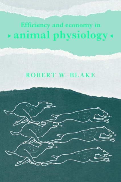 Efficiency and Economy in Animal Physiology, Paperback / softback Book