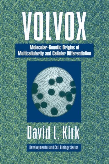 Volvox : A Search for the Molecular and Genetic Origins of Multicellularity and Cellular Differentiation, Paperback / softback Book
