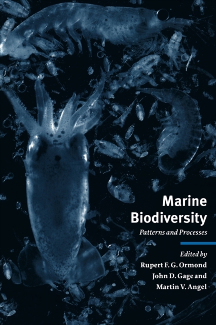 Marine Biodiversity : Patterns and Processes, Paperback / softback Book