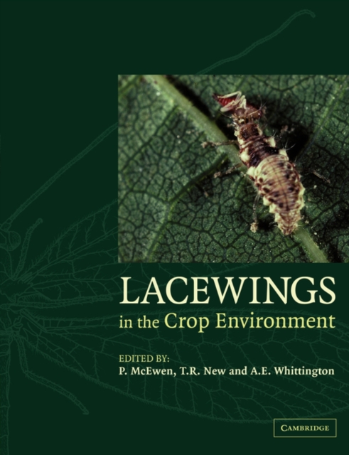 Lacewings in the Crop Environment, Paperback / softback Book